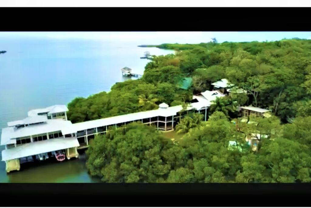 The Dock Resort Over Water Retreat West End Eksteriør billede